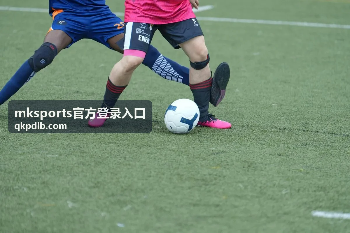 登录入口操作指引:清理缓存解决页面加载异常