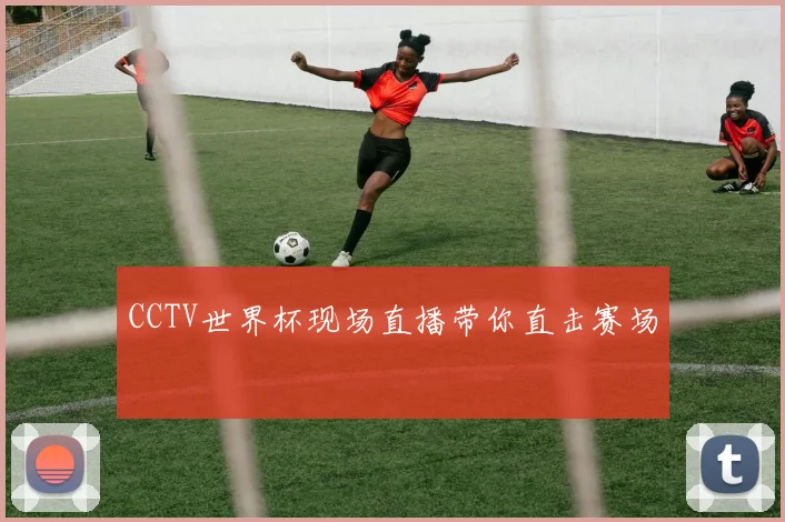 CCTV世界杯现场直播带你直击赛场
