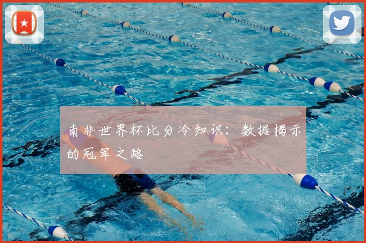 南非世界杯比分冷知识：数据揭示的冠军之路