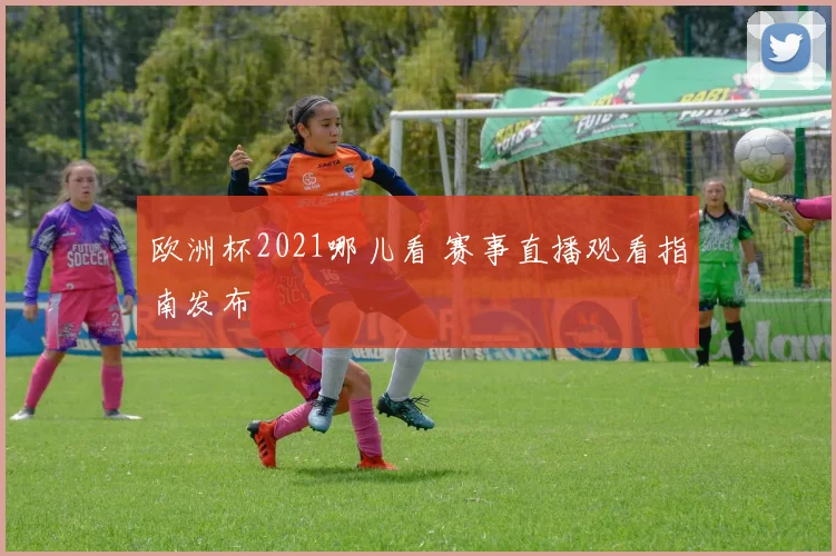 欧洲杯2021哪儿看 赛事直播观看指南发布