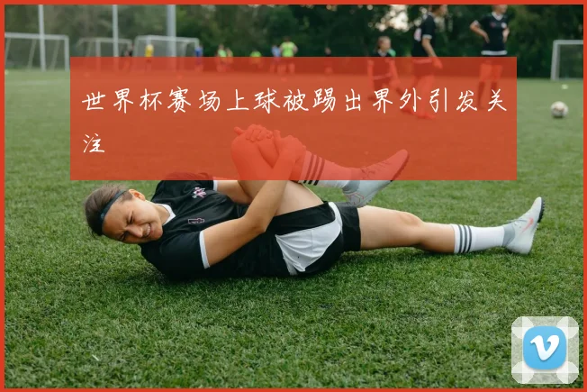 世界杯赛场上球被踢出界外引发关注