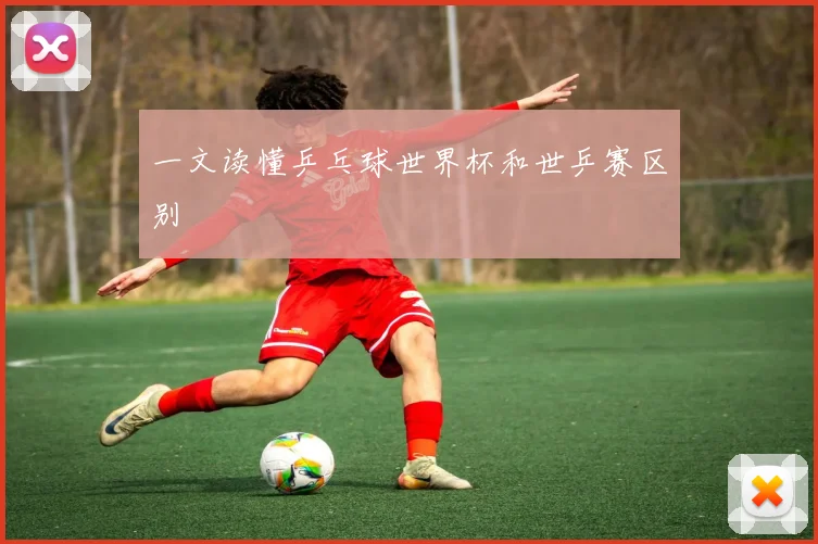 一文读懂乒乓球世界杯和世乒赛区别