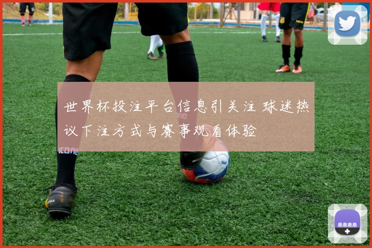 世界杯投注平台信息引关注 球迷热议下注方式与赛事观看体验