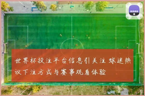 世界杯投注平台信息引关注 球迷热议下注方式与赛事观看体验